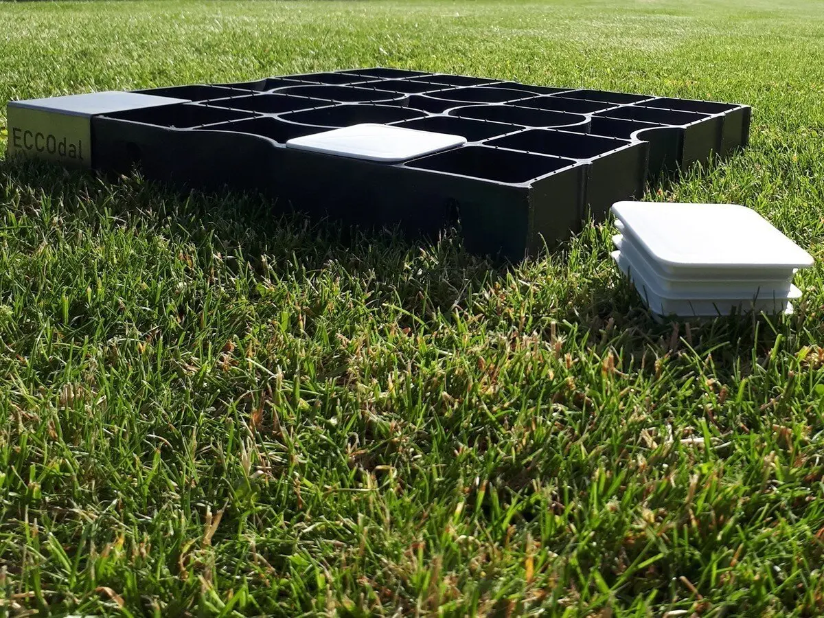 ECCOdal marking caps (1)