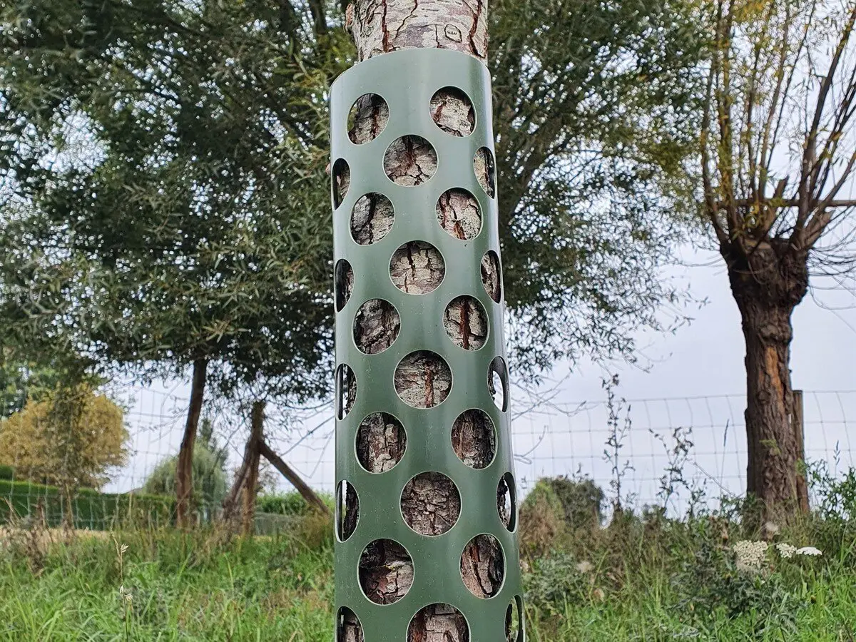 Tree Guard Tree Protection 1